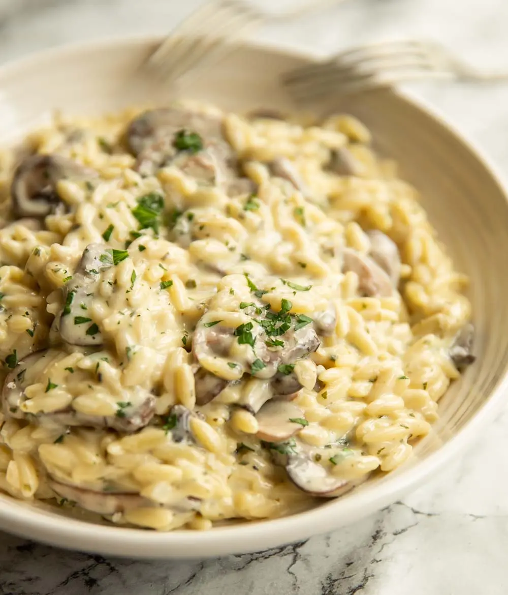 Grandma's Creamy Mushroom Orzo